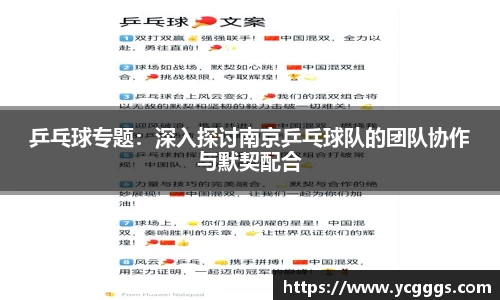 乒乓球专题：深入探讨南京乒乓球队的团队协作与默契配合