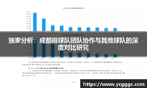 独家分析：成都排球队团队协作与其他球队的深度对比研究